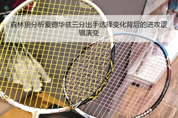 森林狼分析爱德华兹三分出手选择变化背后的进攻逻辑演变